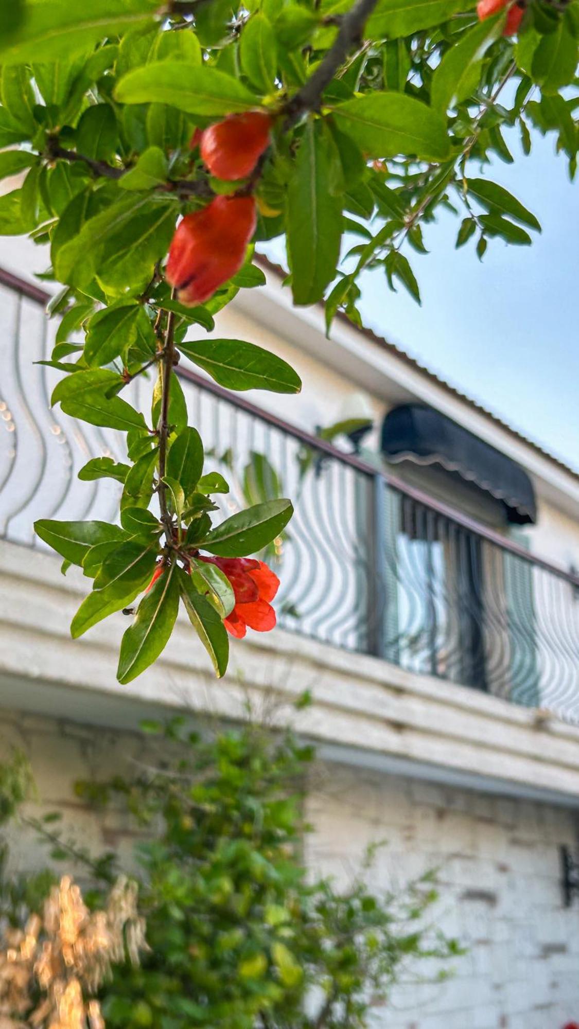 N Hotels Cesme Dalyankoy  Zewnętrze zdjęcie