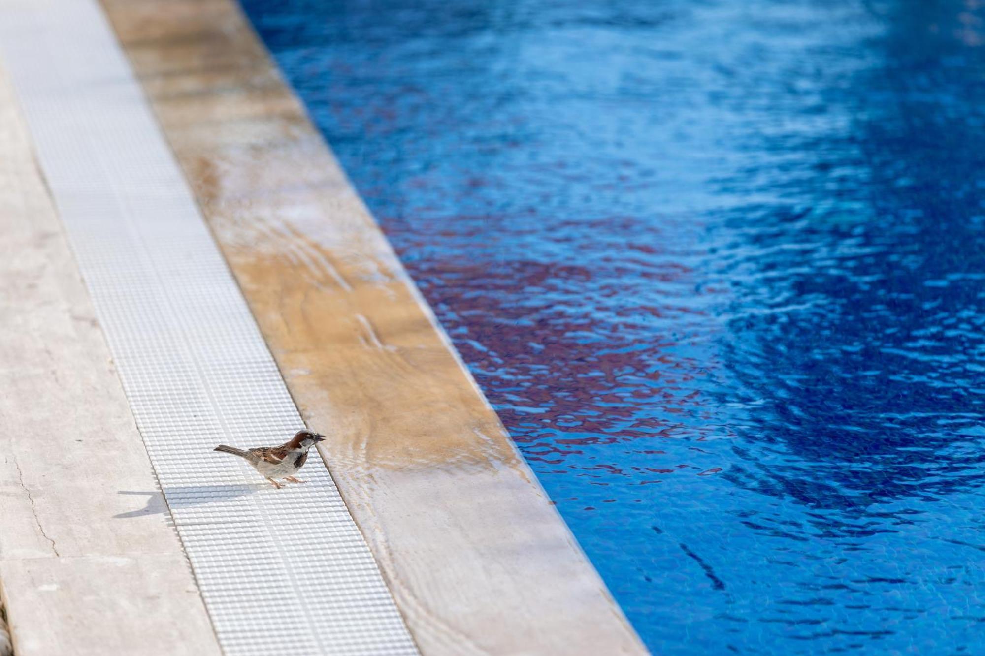 N Hotels Cesme Dalyankoy  Zewnętrze zdjęcie